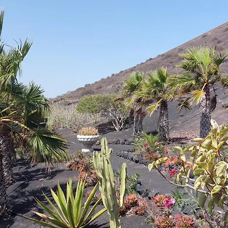 La Ranita 2 Empireo * La Asomada (Lanzarote)